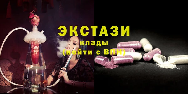 гидра Богданович