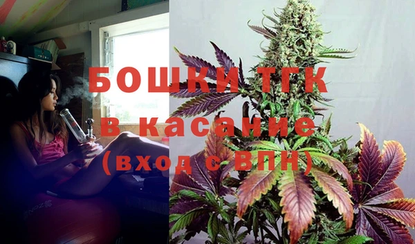 гидра Богданович
