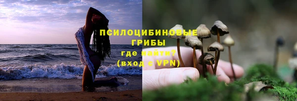 гидра Богданович