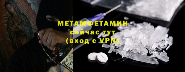 гидра Богданович