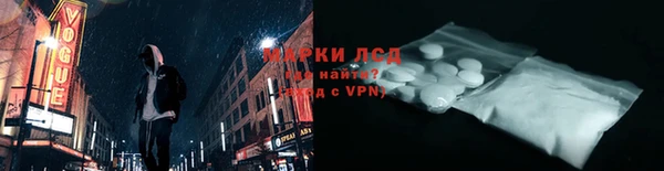 гидра Богданович