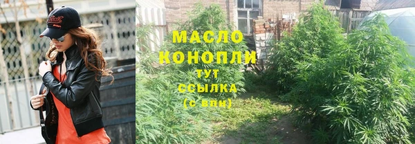 гидра Богданович