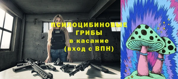 дурь Богородск