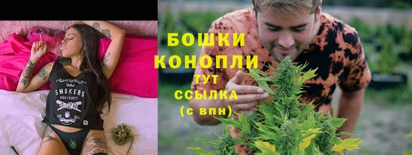 гидра Богданович