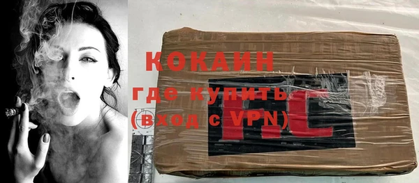 гидра Богданович