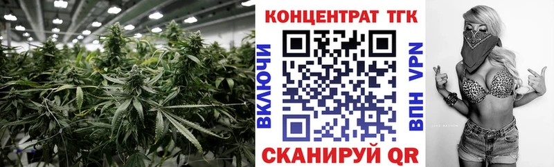 маркетплейс состав  OMG ТОР  Оха  ТГК концентрат 