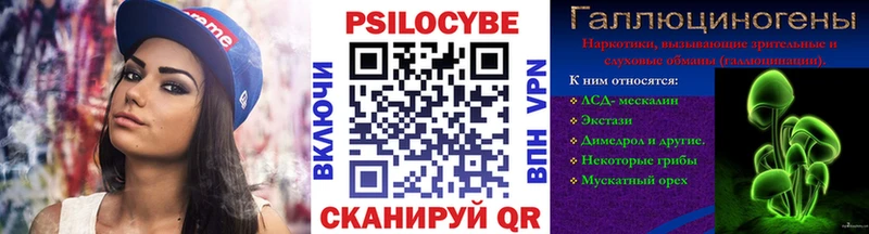 Псилоцибиновые грибы Psilocybe магазин наркотиков Оха